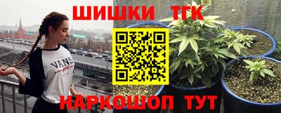 стафф Пенза