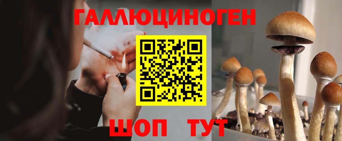 Ртищево  Псилоцибиновые грибы GOLDEN TEACHER  Вход с VPN 